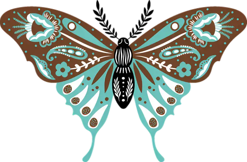 butterfly illustration